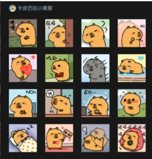 Capybara Craze